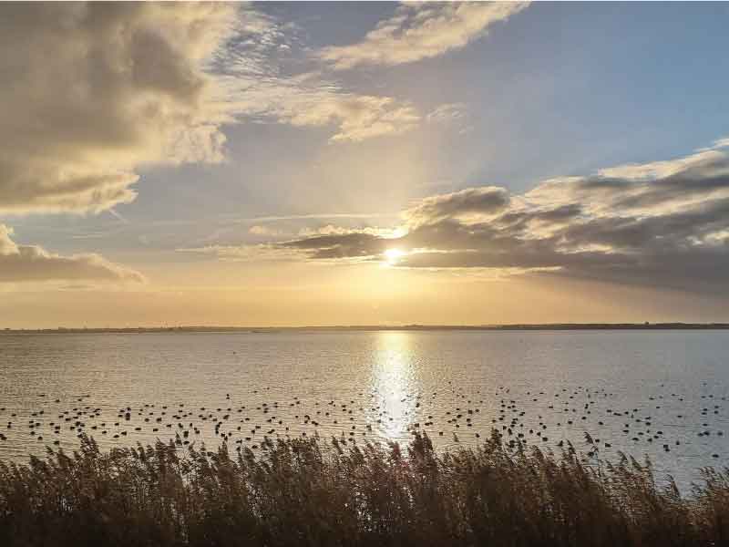 Met IVN op pad in de schemering