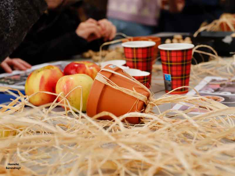 Vogelvoer gemaakt bij IVN