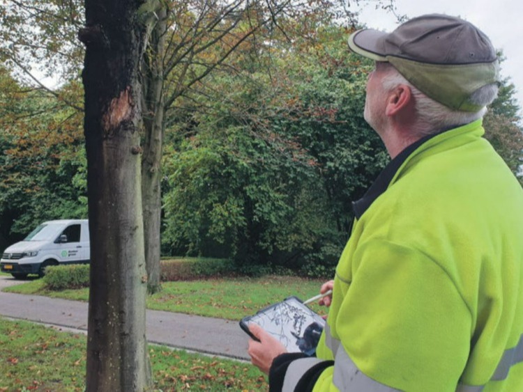 Bomen Zeewolde toe aan reguliere keuring