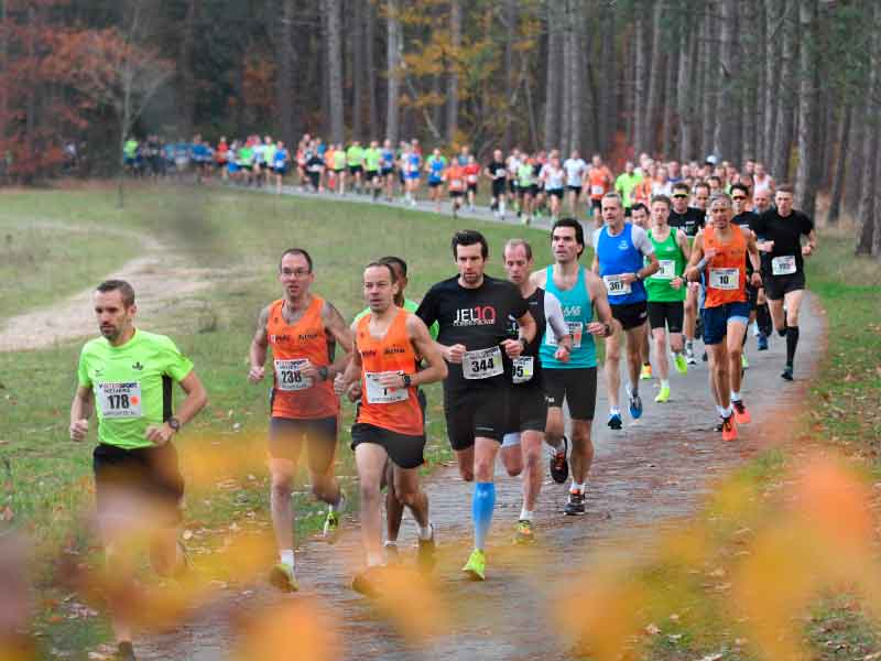 Zandenplasloop in Nunspeet van Loopgroep 2000 op 12 november