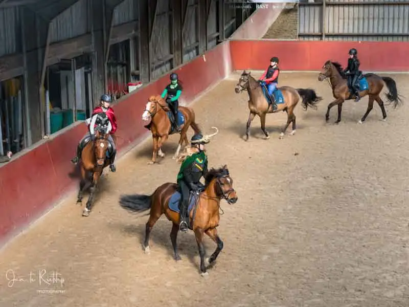 Lessenwedstrijd Ruitersportcentrum Zeewolde