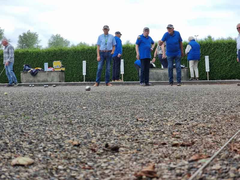 Beweeg Caroussel voor volwassenen