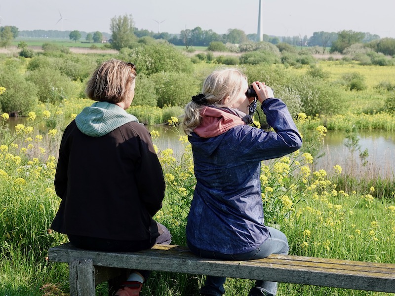 Doe eens een gok en de vogelcursus