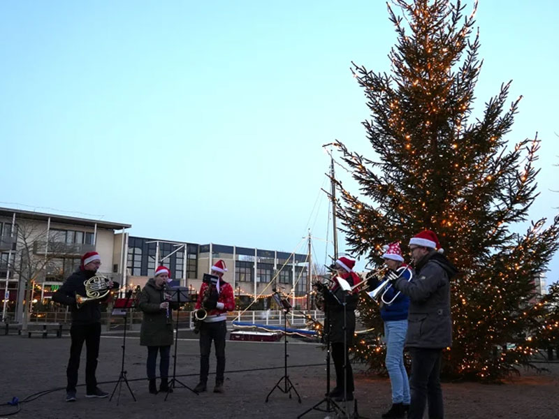 muzikanten spelen bij de kerstboom 