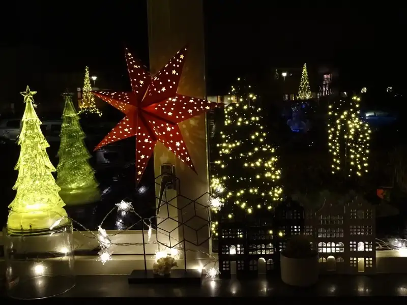 Kerstbomen versiert met lichtjes 
