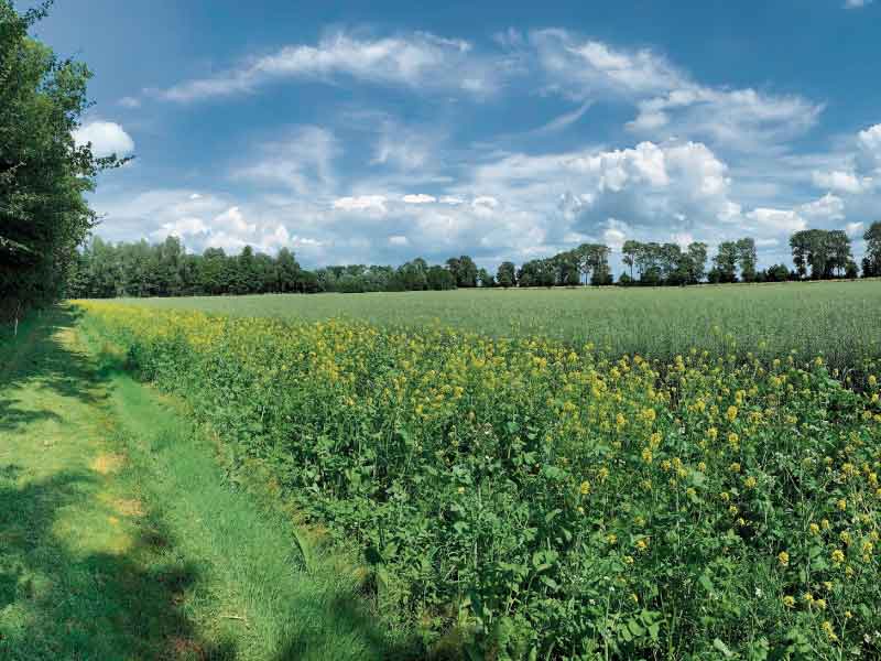   Ons platteland van morgen zoekt ideeën