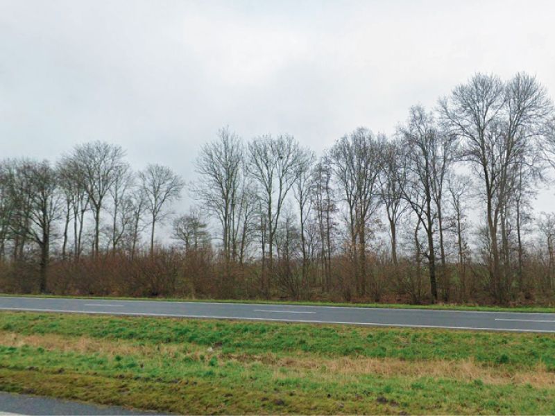 Werkzaamheden Gooiseweg (N305) vanaf 20 februari: verwijderen bomen 
