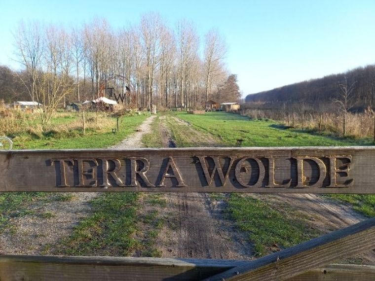 Hek van terra Wolde met de camping erachter