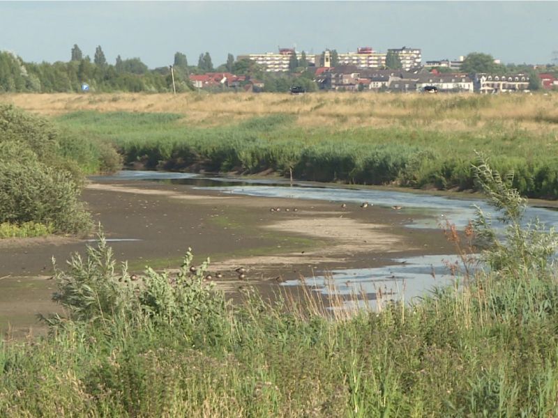 Droog Harderbroek met op achtergrond skyline van Harderwijk