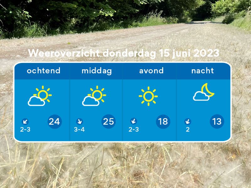 De weersverwachting van Florian Polak van 15 juni