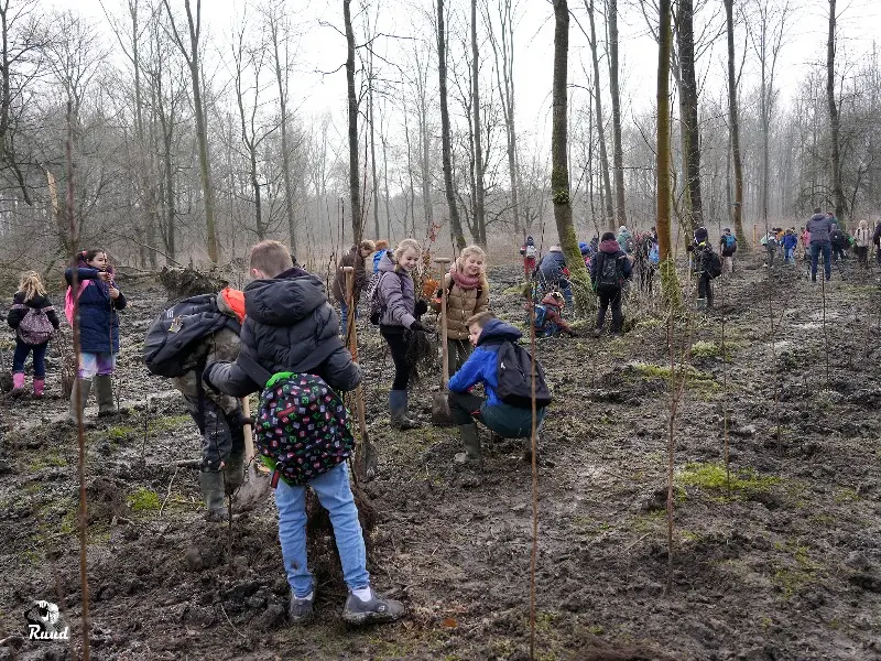 Jonge Zeewoldenaren planten honderden bomen