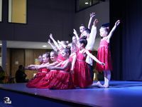 tn DSC6186