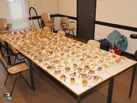 tn DSC6531