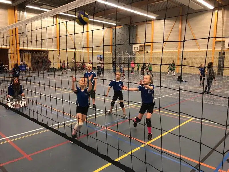 Cool Moves volleyballers gezocht 