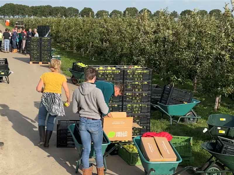 Kratten appels bij de boomgaard waar mensen het aan het ompakken zijn en verderop ook nog een groep mensen