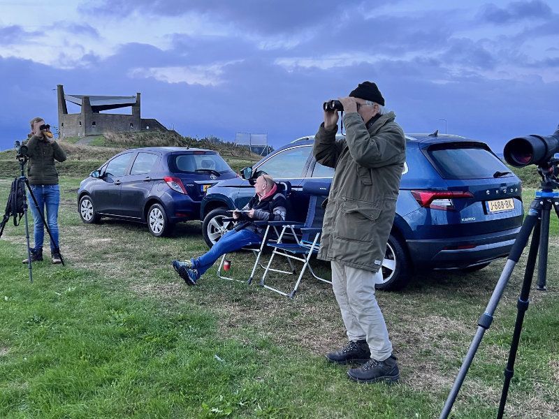 Europese teldag van trekvogels ook in Zeewolde