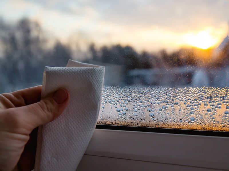 Haal nu je gratis raamfolie! 