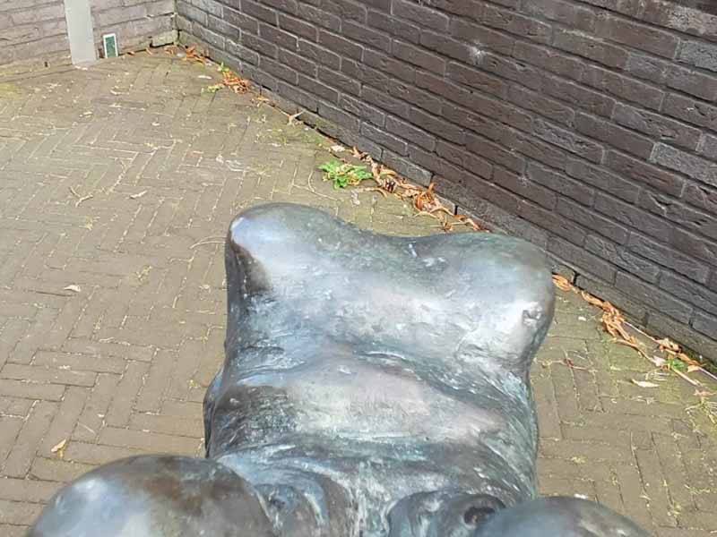 Zoeken naar Elfendeuren en baby uilen in Zeewolde