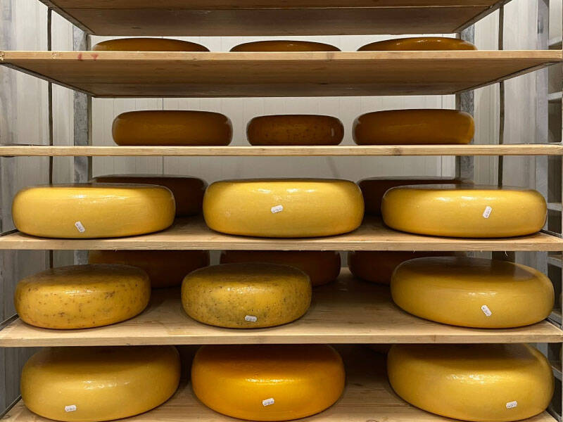 Flevoland is een kaas rijker