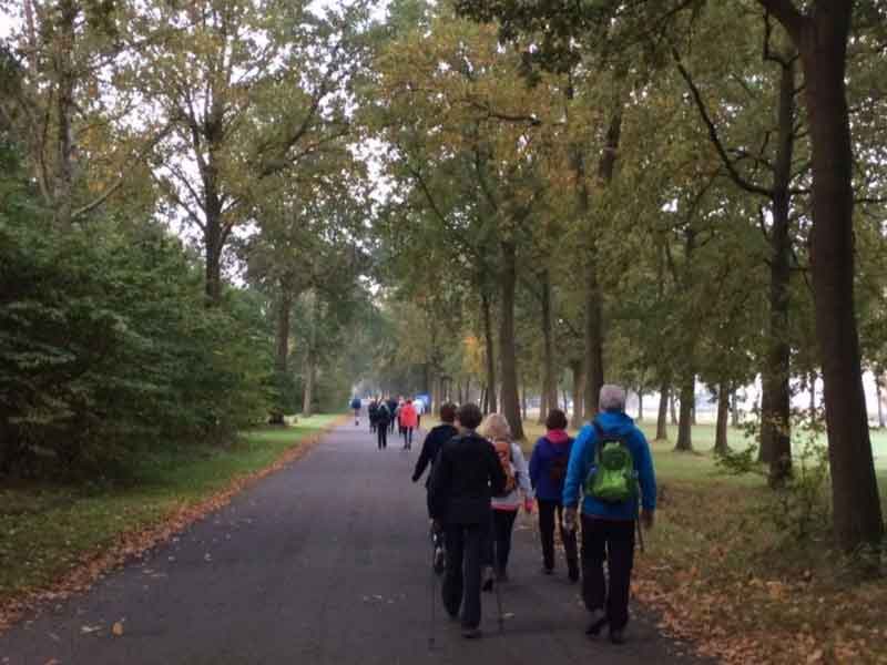 Een groep wandelaars langs het woldlaantje in Zeewolde richting het bos