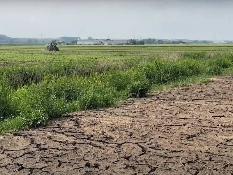 droge gebarsten grond naast groen weiland