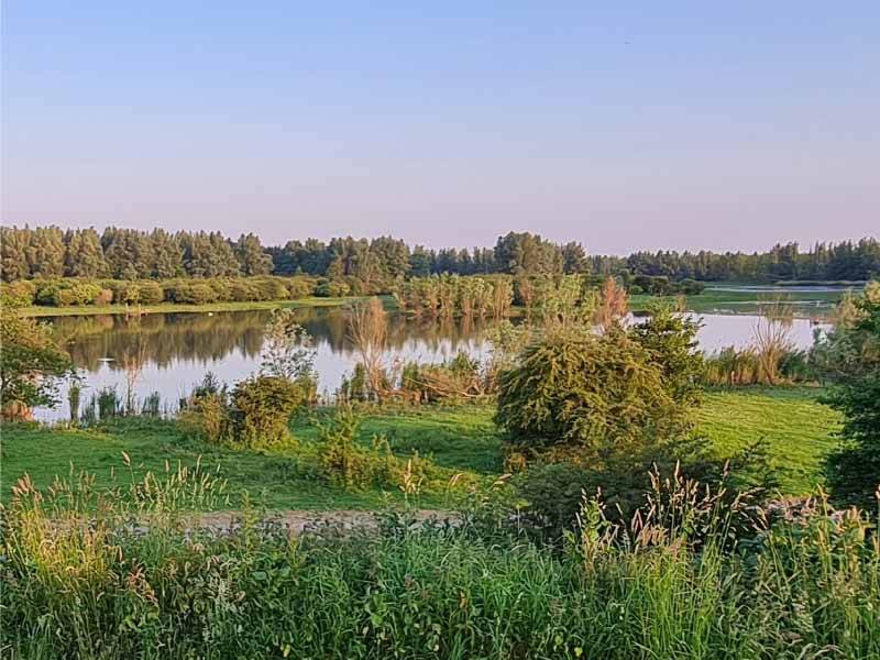 Ga in de Vogelweek mee met de vogelgroep van IVN-Zeewolde