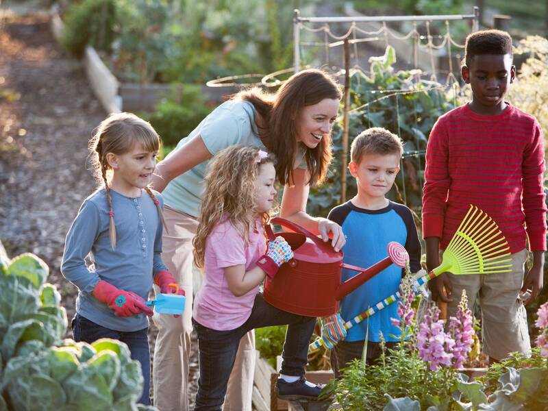 Enthousiaste Zeewoldenaren gezocht voor opleiding moestuincoach