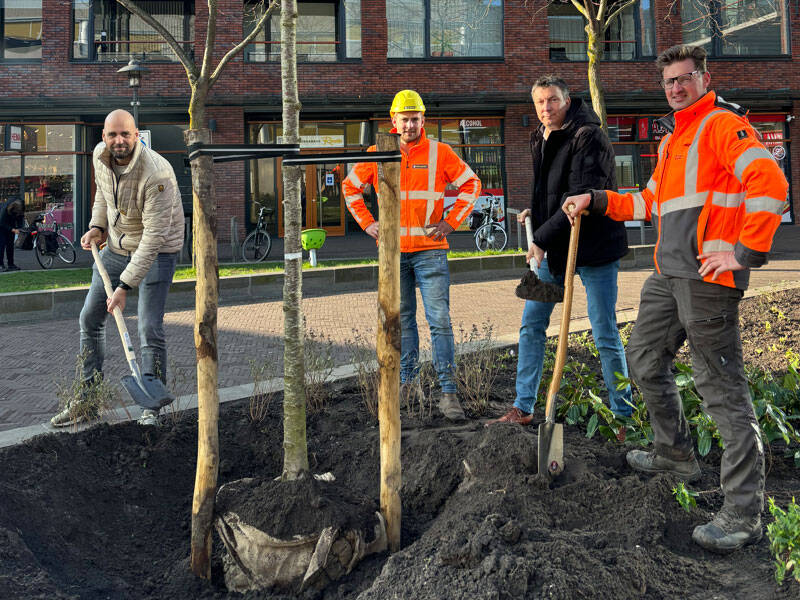 mannen die een boom planten in centrum van zeewolde