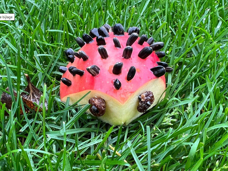 Vogelvoer maken voor de winter bij IVN Zeewolde