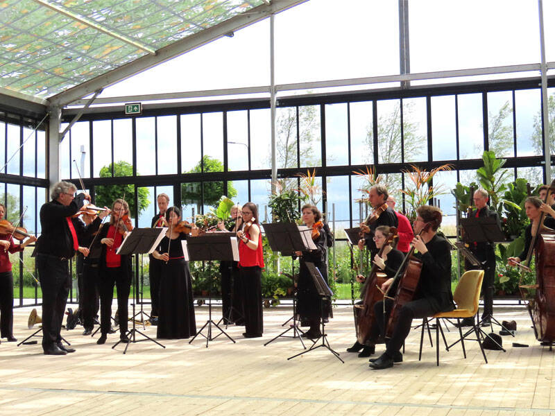 Apollo Ensemble brengt Haydn en Mozart naar Zeewolde