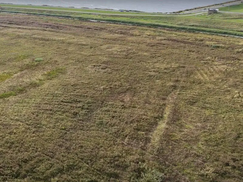 Werkzaamheden in Harderbroek voor betere natuur en leefgebied