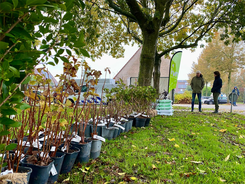 Een rij planten in het groen in een wijk met vlaggen van IVN erbij
