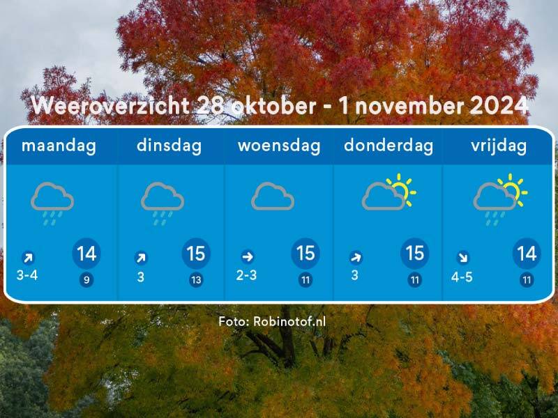 Het weeroverzicht van komende week met op de achtergrond een boom vol in herfstkleuren