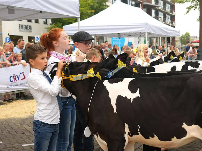 Groeiend aantal deelnemers bij 34e editie Zeewolde bij de Pinken