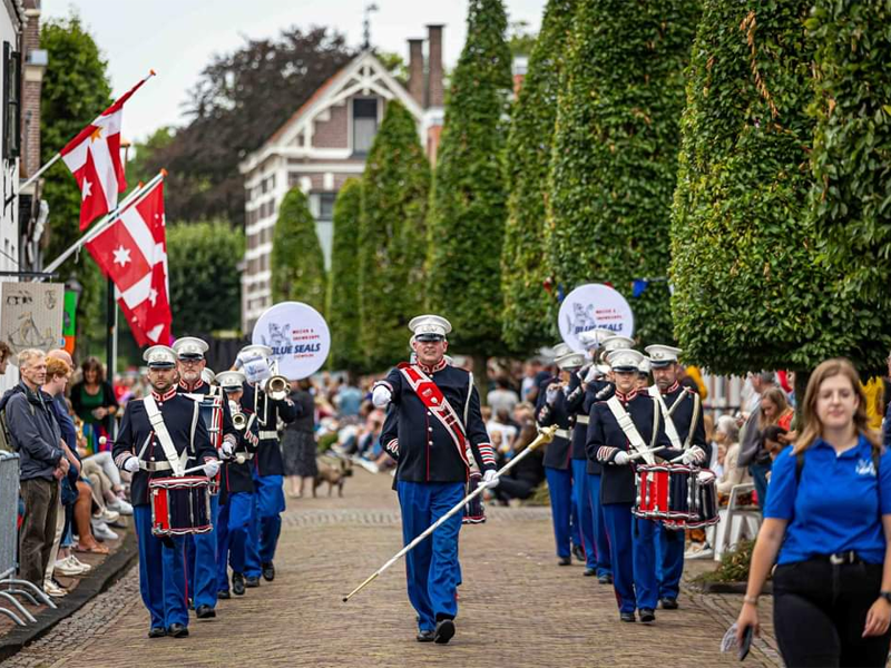 Open Repetitie Blue Seals