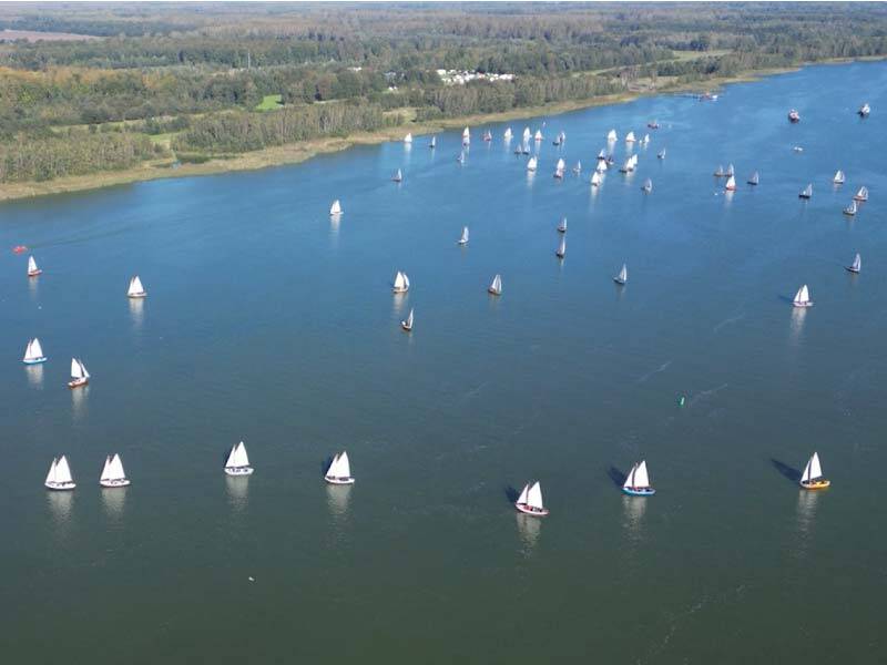 Een drone afbeelding van vele lelievlets op het water aan de rand van de bossen van Zeewolde