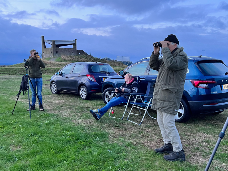 Zaterdag 5 oktober internationale trekvogelteldag 