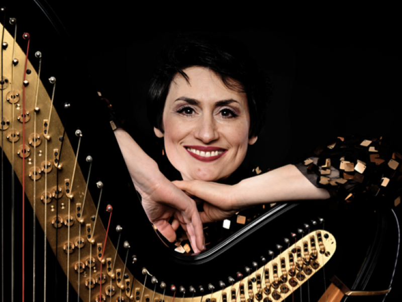 Vrouw met harp 
