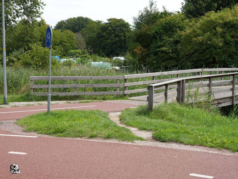 Olifantenpaadjes verraden hoe mensen écht lopen