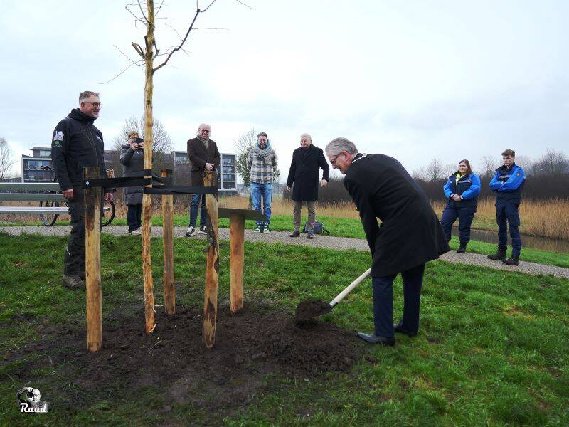 Burgemeester die symbolisch nog een schep zand bij de boom doet met boa's en omstanders erom heen