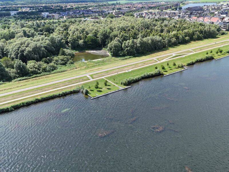 Overlast door waterplanten op Wolderwijd bij Zeewolde