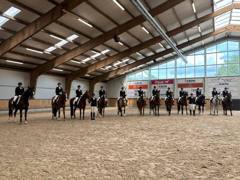 Ruiters te paard staan netjes op een rij in een bak met zand