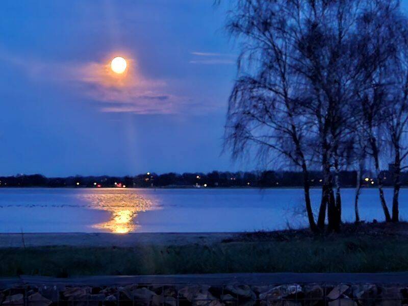 Een volle maan reflecteert op het water, omringd door bomen met lichtjes aan de overkant van het water