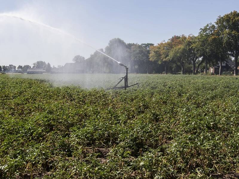 Droogte in Flevoland: watertekort raakt landbouw, natuur en huishoudens