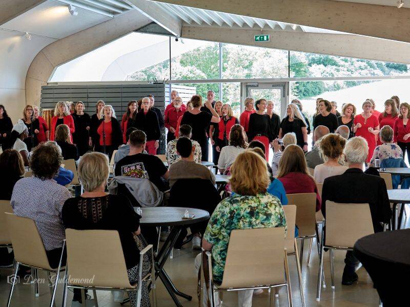 Matinee Open Deuren swingt met Pop & Rockkoor en Kunstkwartier