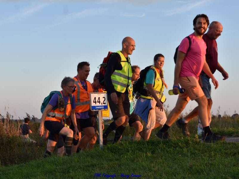Sterke editie ZtotZ-tocht: 206 wandelaars volbrengen de afstand