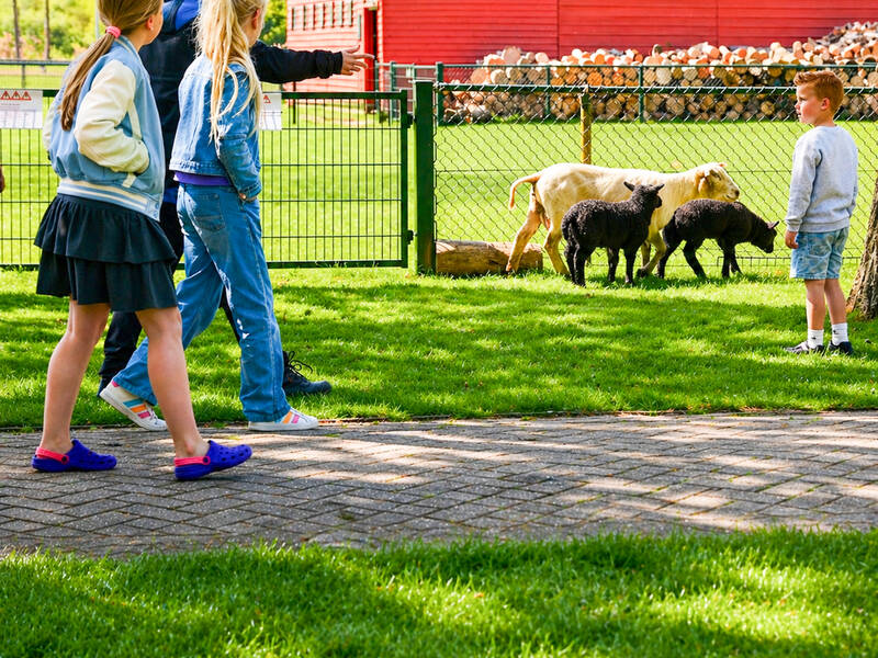 MMM Zorgboerderij blikt terug op drukbezocht kraamfeest: “Half Zeewolde liep uit” 