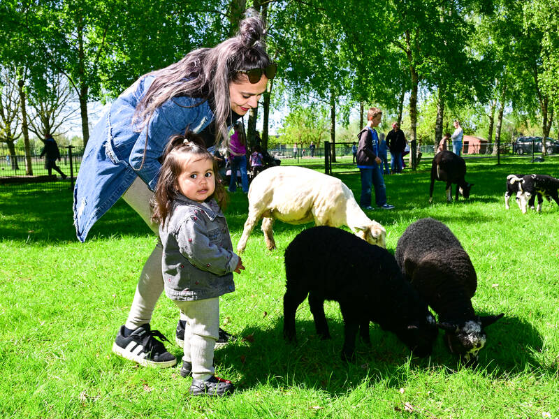 MMM Zorgboerderij blikt terug op drukbezocht kraamfeest: “Half Zeewolde liep uit” 