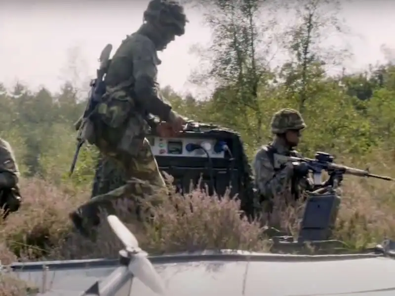 Agrariërs roepen op tot krachtiger optreden van gemeente Zeewolde