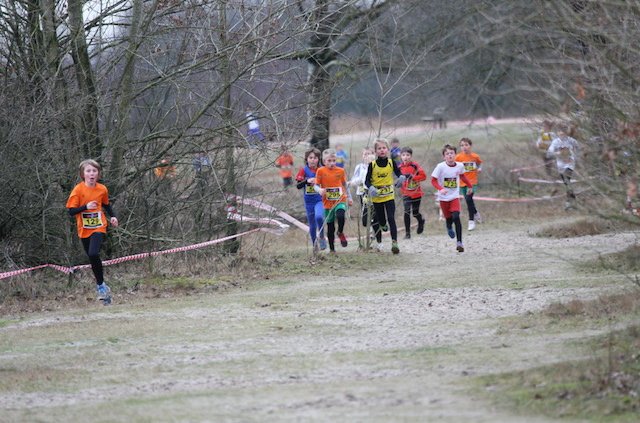 Atletiekvereniging organisator Regionale Crossloop